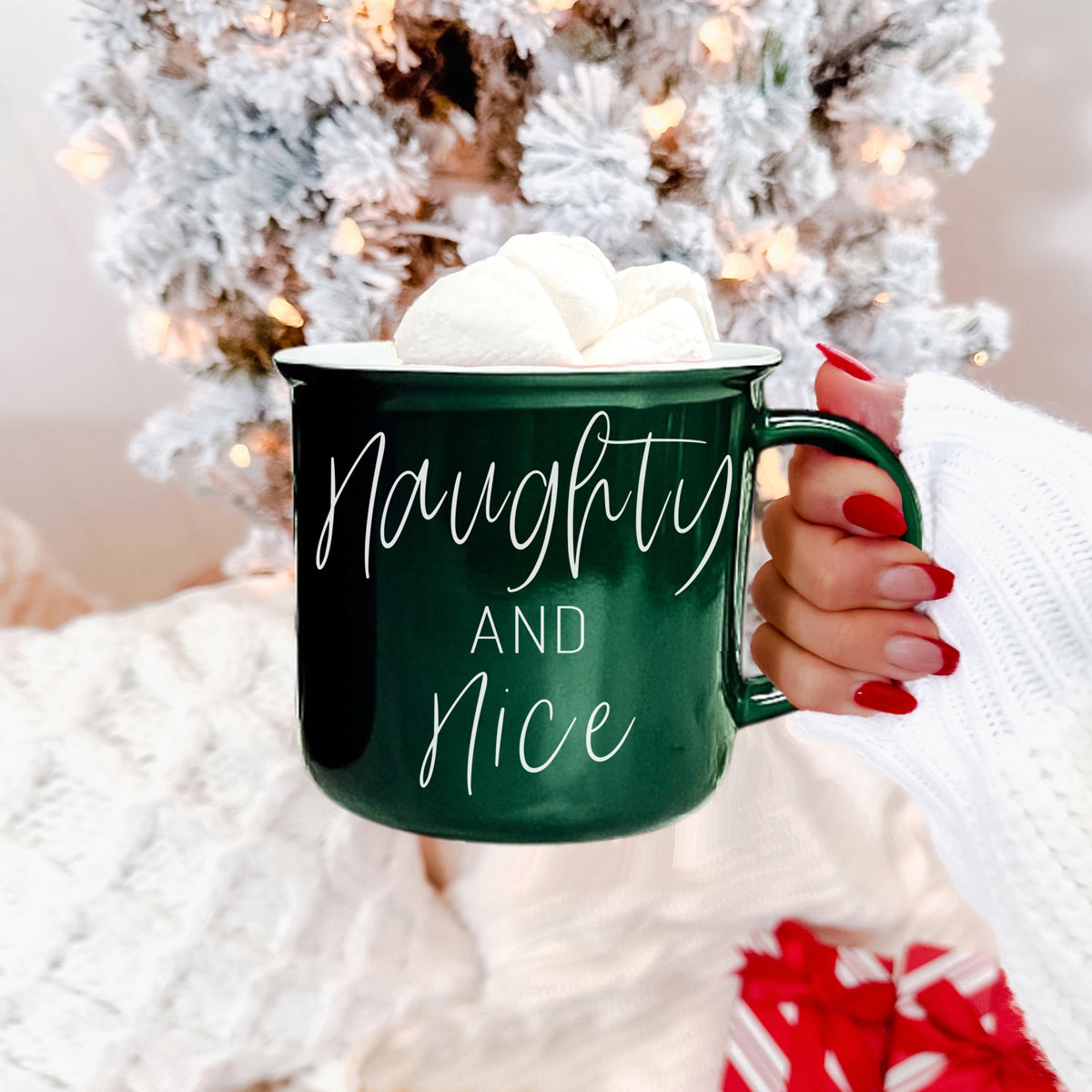 Naughty & Nice Mug-3